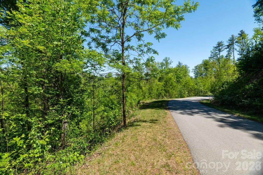 33 Bent Branch Lane Asheville, NC 28804