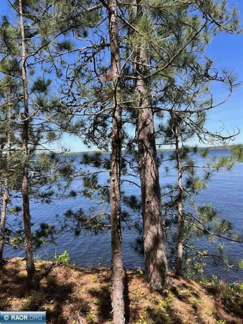 5441 Ely Island Tower, MN 55790