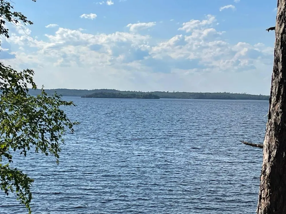 5441 Ely Island Tower, MN 55790