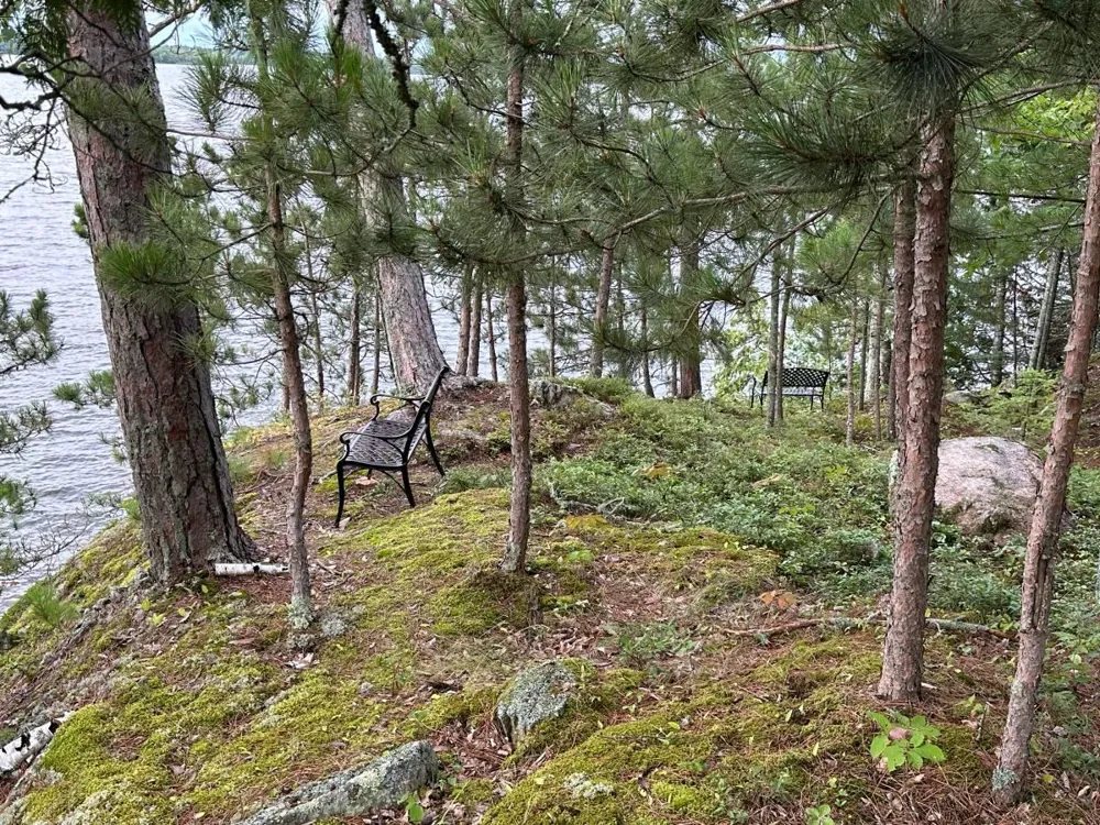 5441 Ely Island Tower, MN 55790