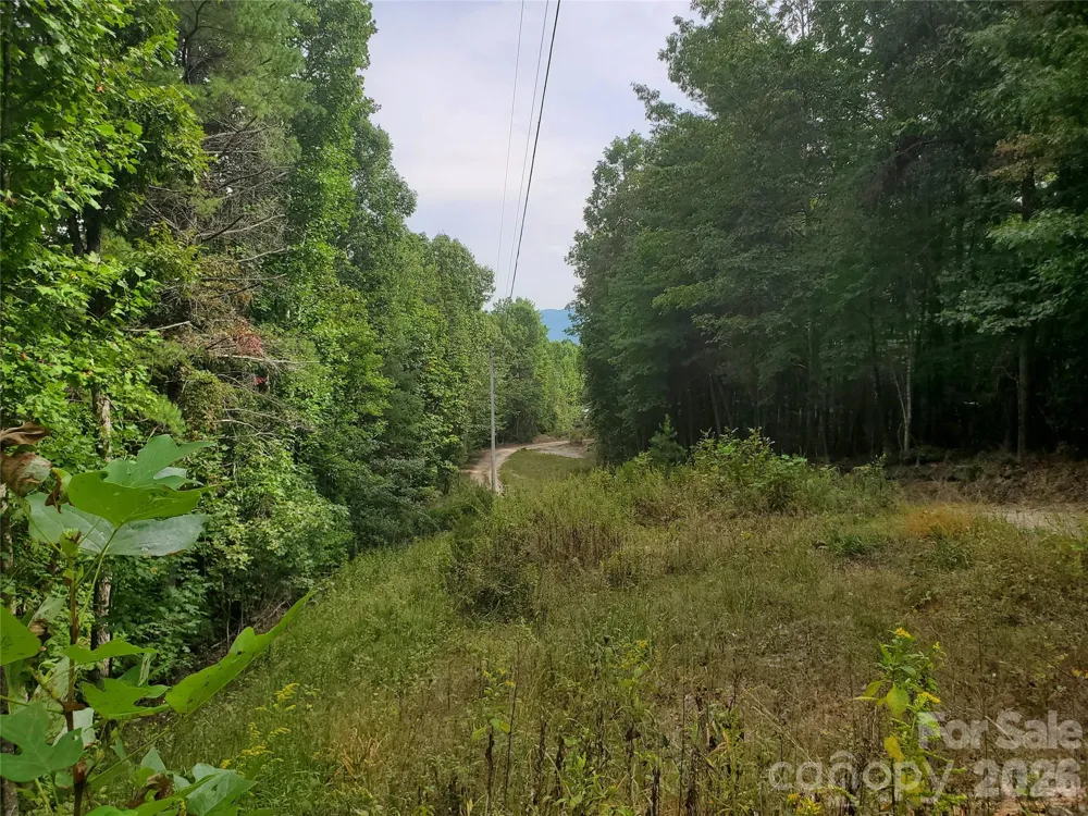 3024 Pearson Mountain Road Boomer, NC 28606