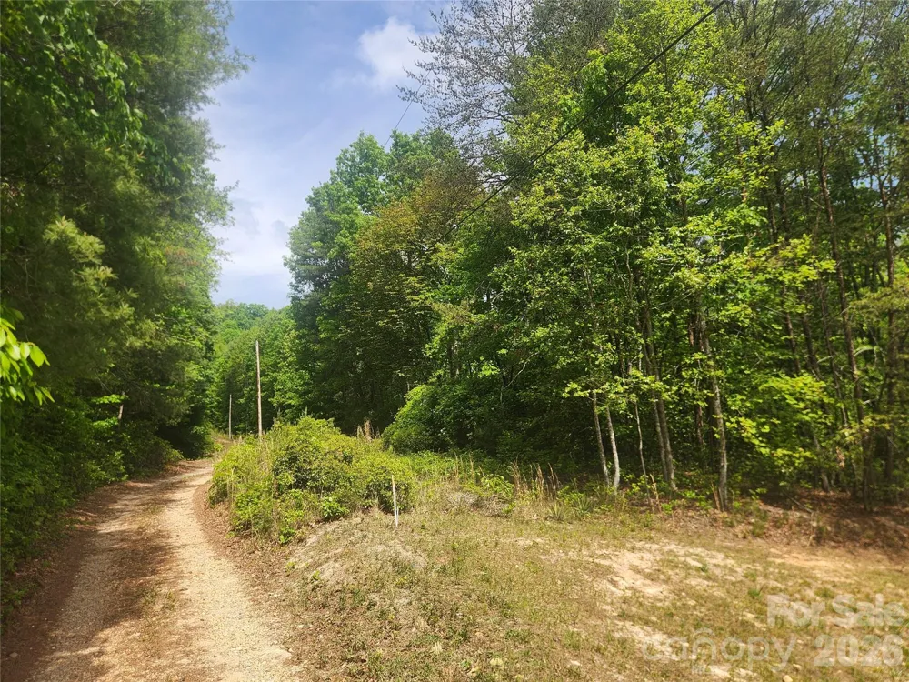 3024 Pearson Mountain Road Boomer, NC 28606