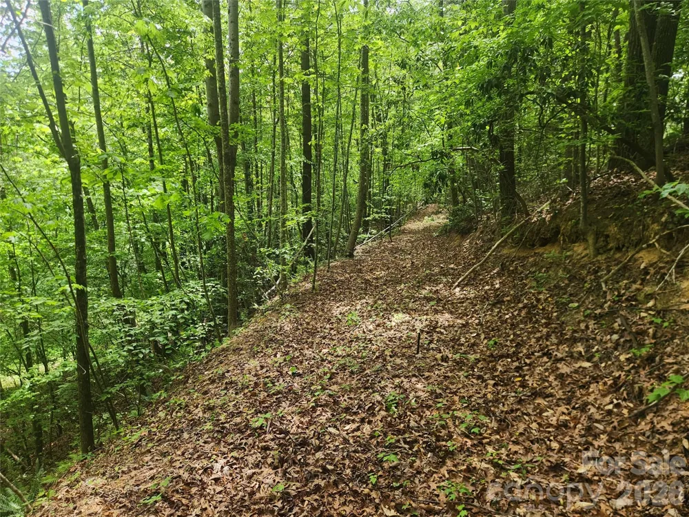3024 Pearson Mountain Road Boomer, NC 28606