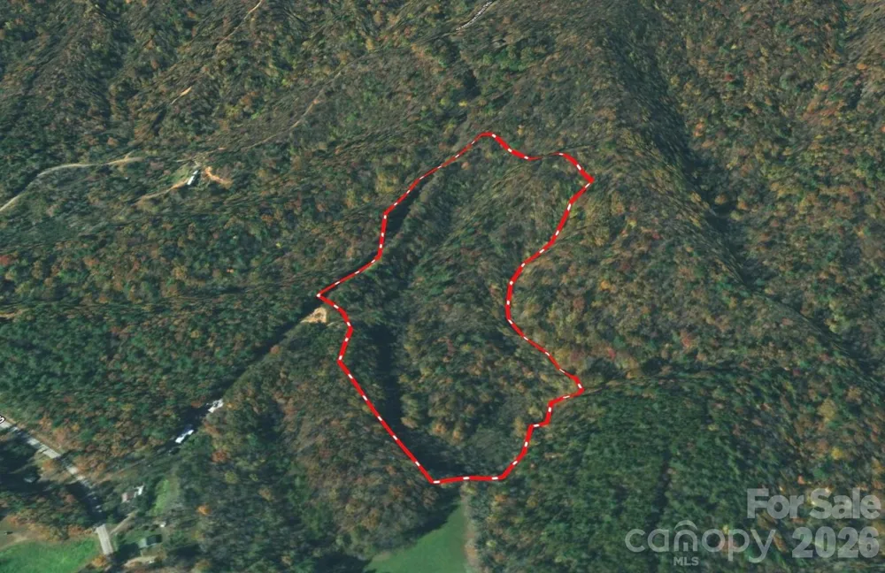 3024 Pearson Mountain Road Boomer, NC 28606