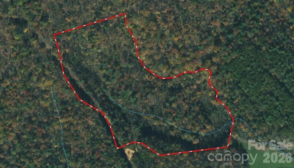 3024 Pearson Mountain Road Boomer, NC 28606