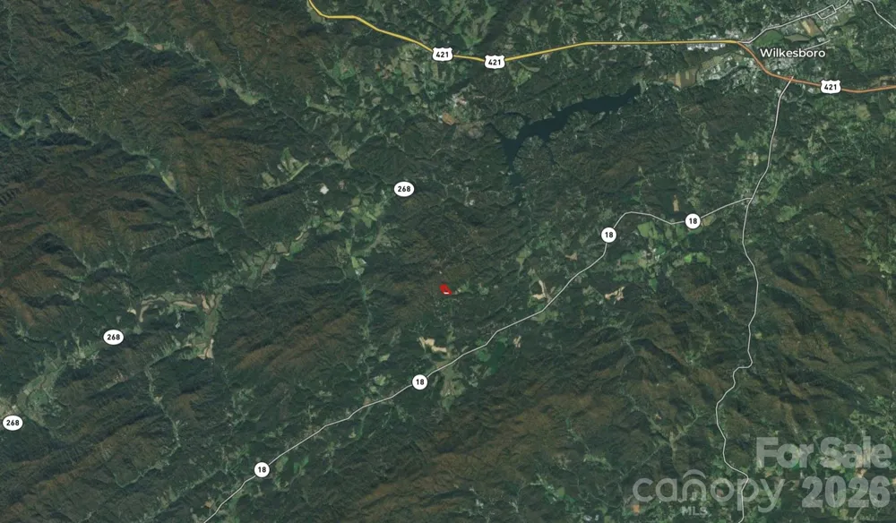 3024 Pearson Mountain Road Boomer, NC 28606