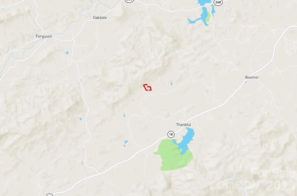3024 Pearson Mountain Road Boomer, NC 28606