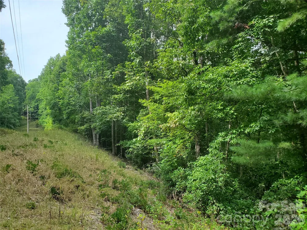 3024 Pearson Mountain Road Boomer, NC 28606