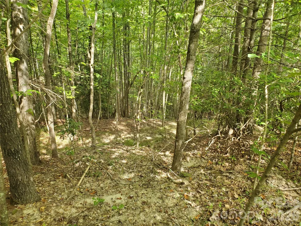 3024 Pearson Mountain Road Boomer, NC 28606