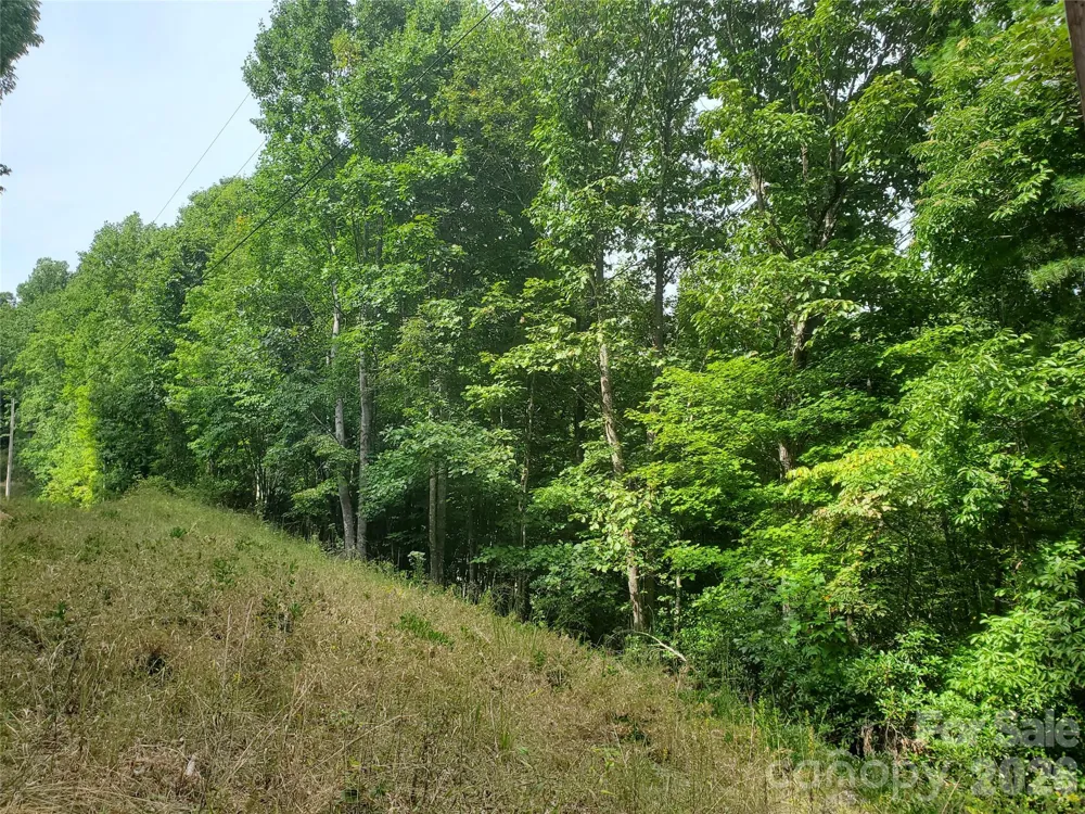 3024 Pearson Mountain Road Boomer, NC 28606