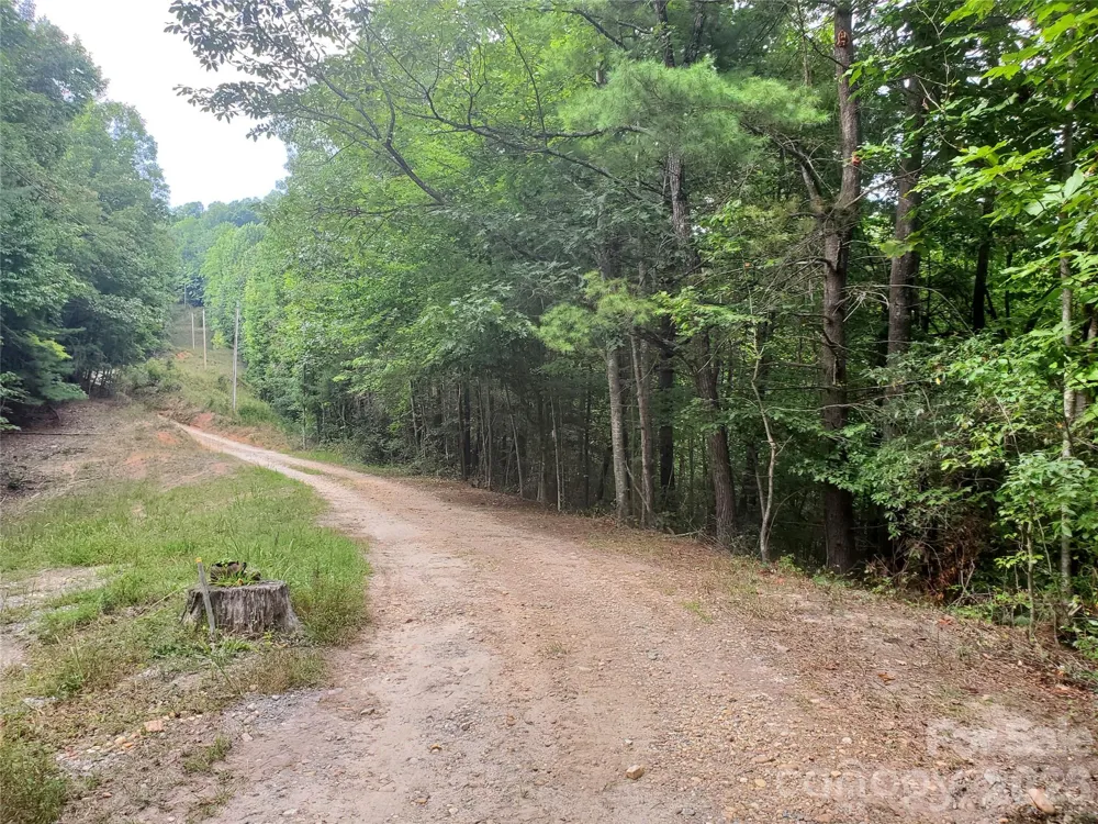 3024 Pearson Mountain Road Boomer, NC 28606