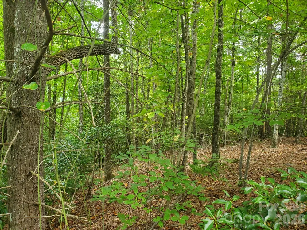 3024 Pearson Mountain Road Boomer, NC 28606
