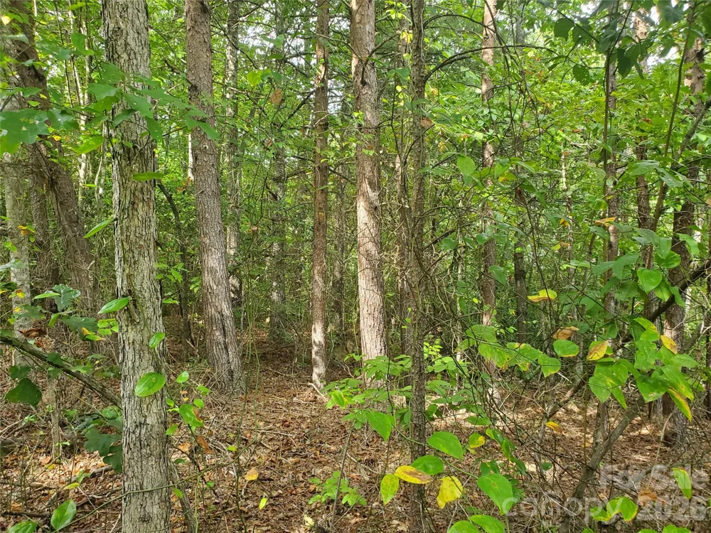 3024 Pearson Mountain Road Boomer, NC 28606