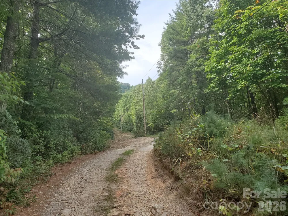 3024 Pearson Mountain Road Boomer, NC 28606