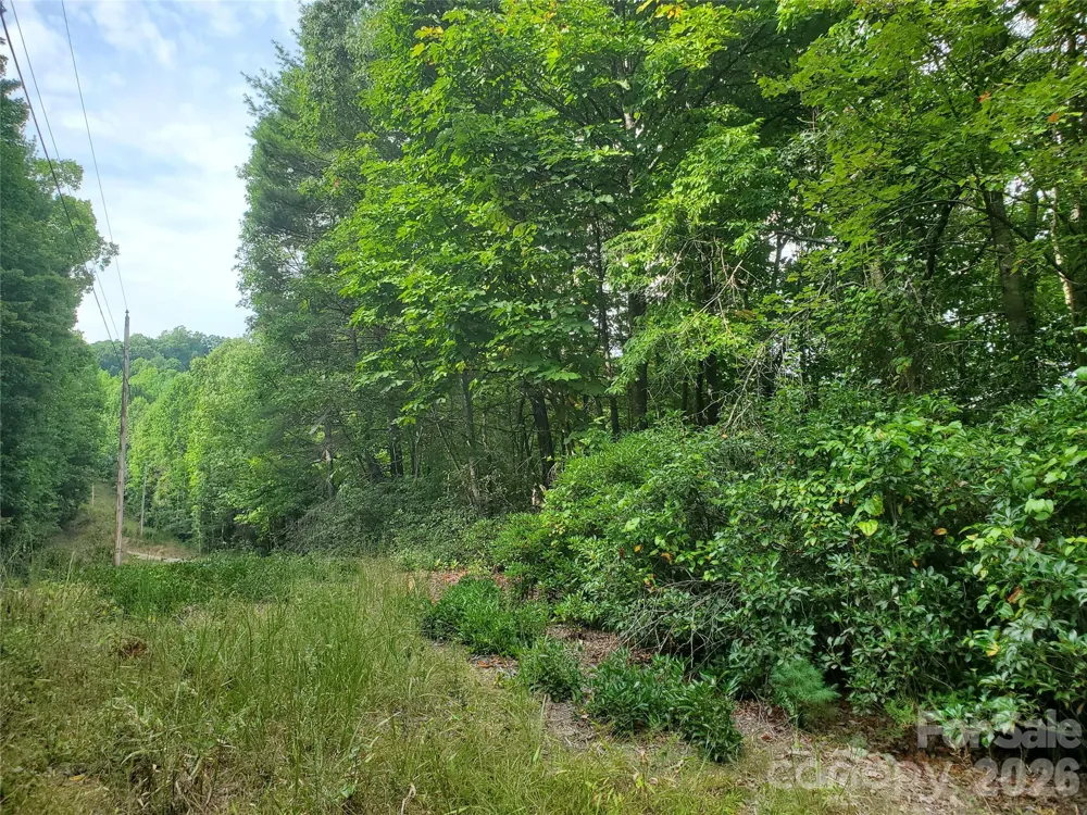 3024 Pearson Mountain Road Boomer, NC 28606