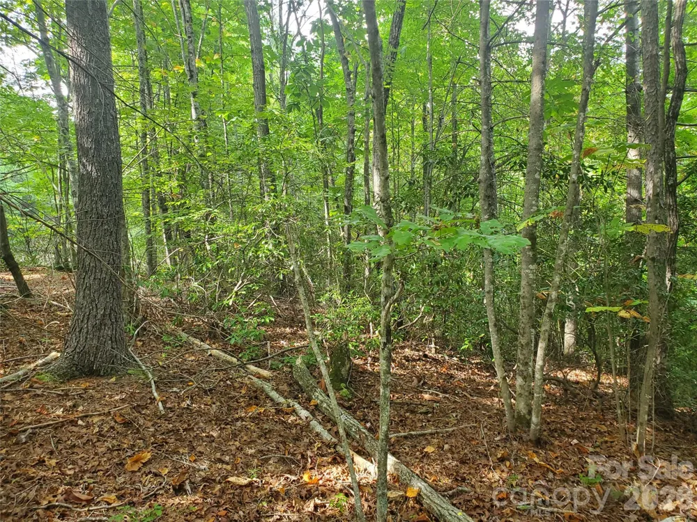 3024 Pearson Mountain Road Boomer, NC 28606