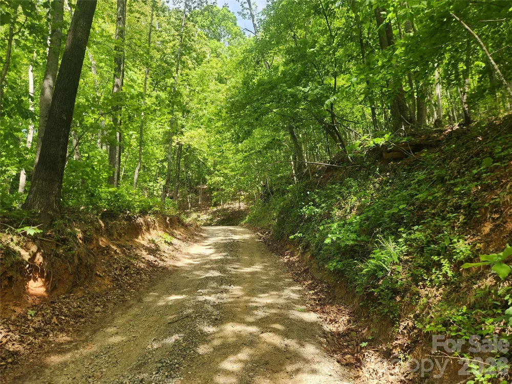 3024 Pearson Mountain Road Boomer, NC 28606