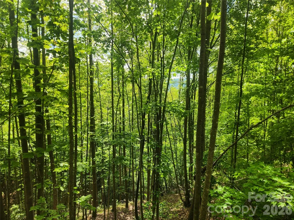 3024 Pearson Mountain Road Boomer, NC 28606