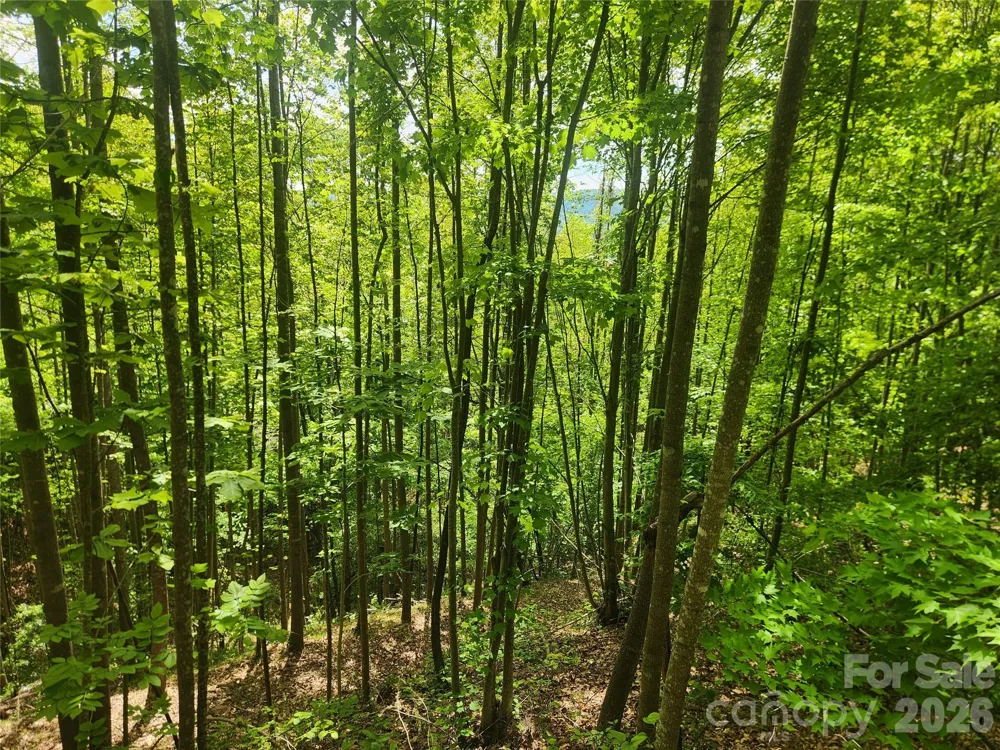 3024 Pearson Mountain Road Boomer, NC 28606