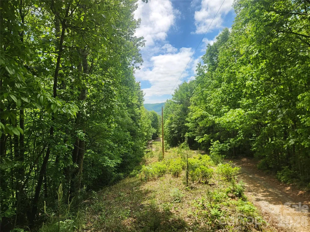 3024 Pearson Mountain Road Boomer, NC 28606
