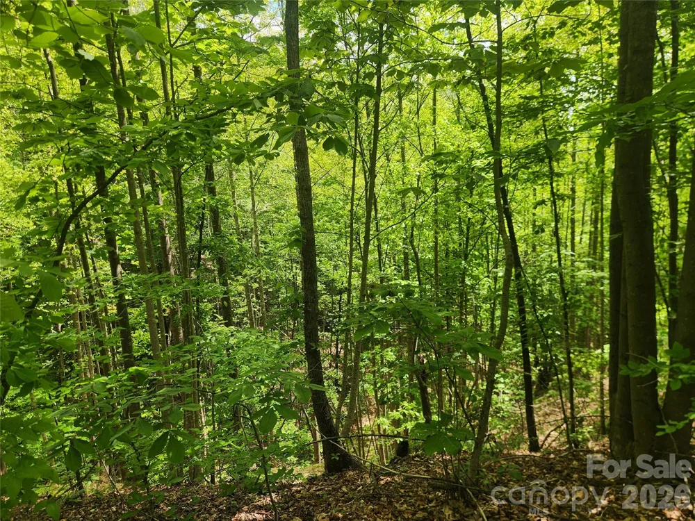 3024 Pearson Mountain Road Boomer, NC 28606