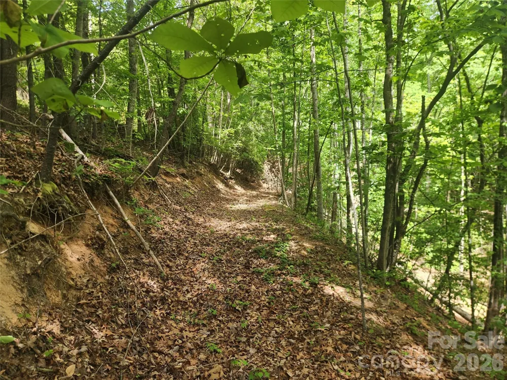 3024 Pearson Mountain Road Boomer, NC 28606