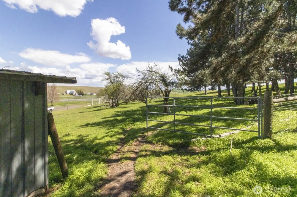 3001 Pullman Albion Road Pullman, WA 99163