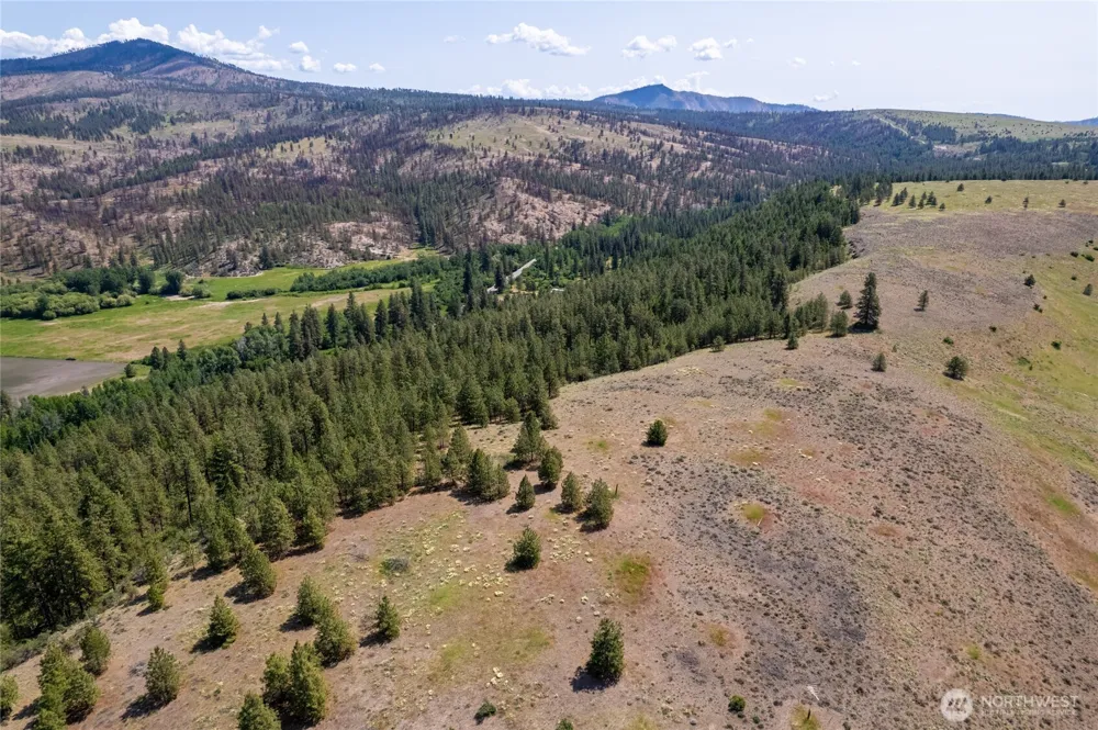 0 Peter Dan Creek Rd Coulee Dam, WA 99116