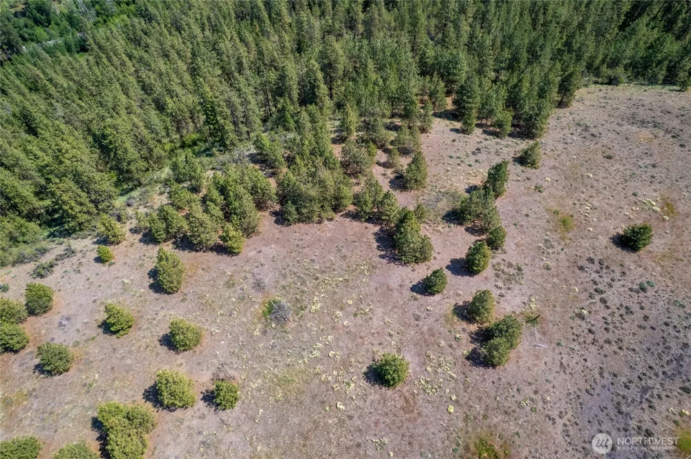 0 Peter Dan Creek Rd Coulee Dam, WA 99116