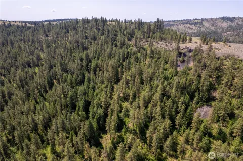 0 Peter Dan Creek Rd