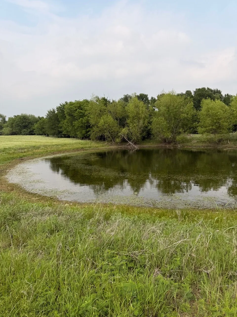 345 CR 3346 Hubbard, TX 76648