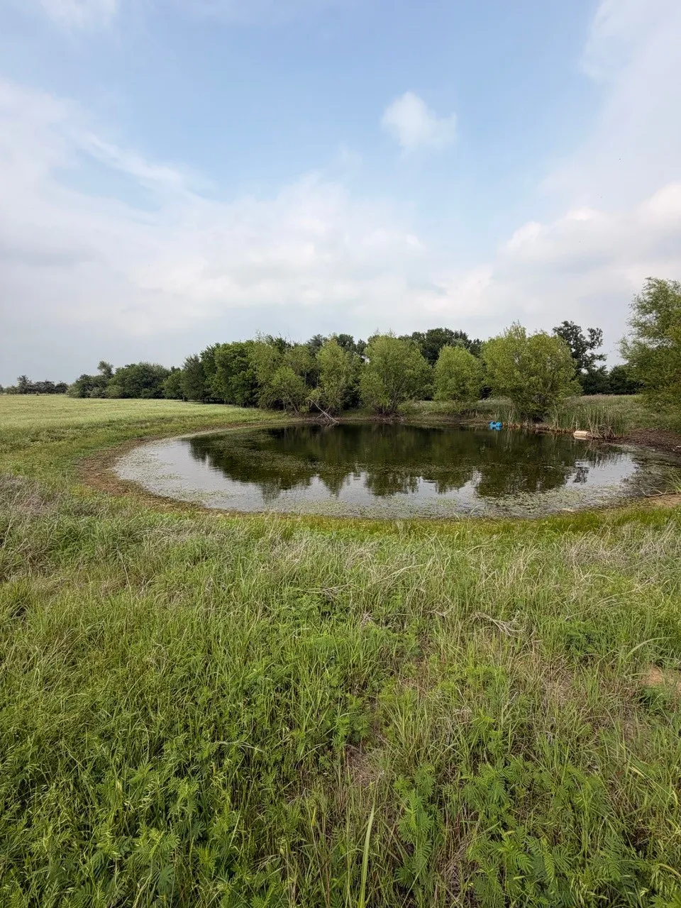 345 CR 3346 Hubbard, TX 76648