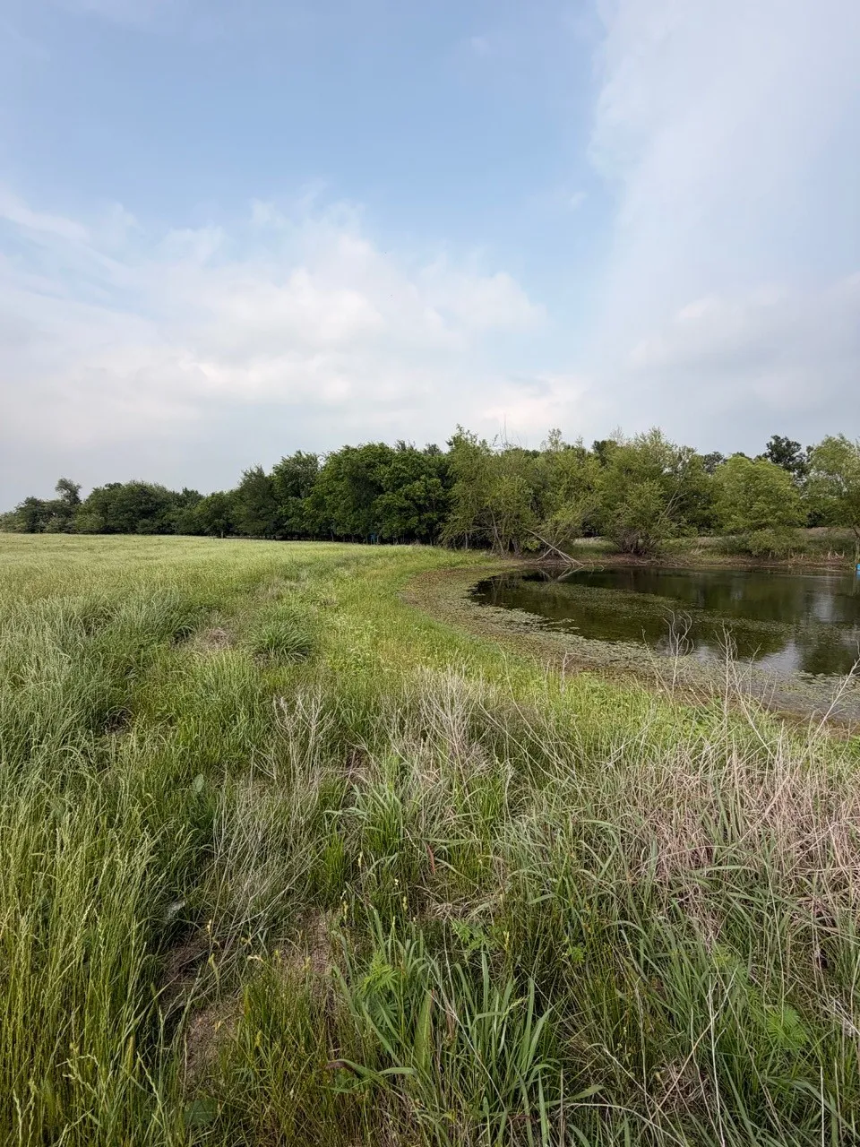 345 CR 3346 Hubbard, TX 76648