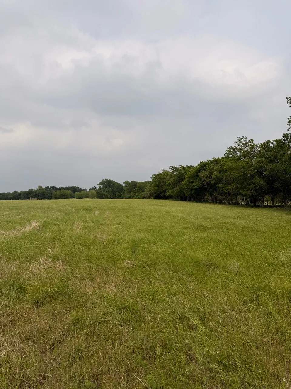 345 CR 3346 Hubbard, TX 76648