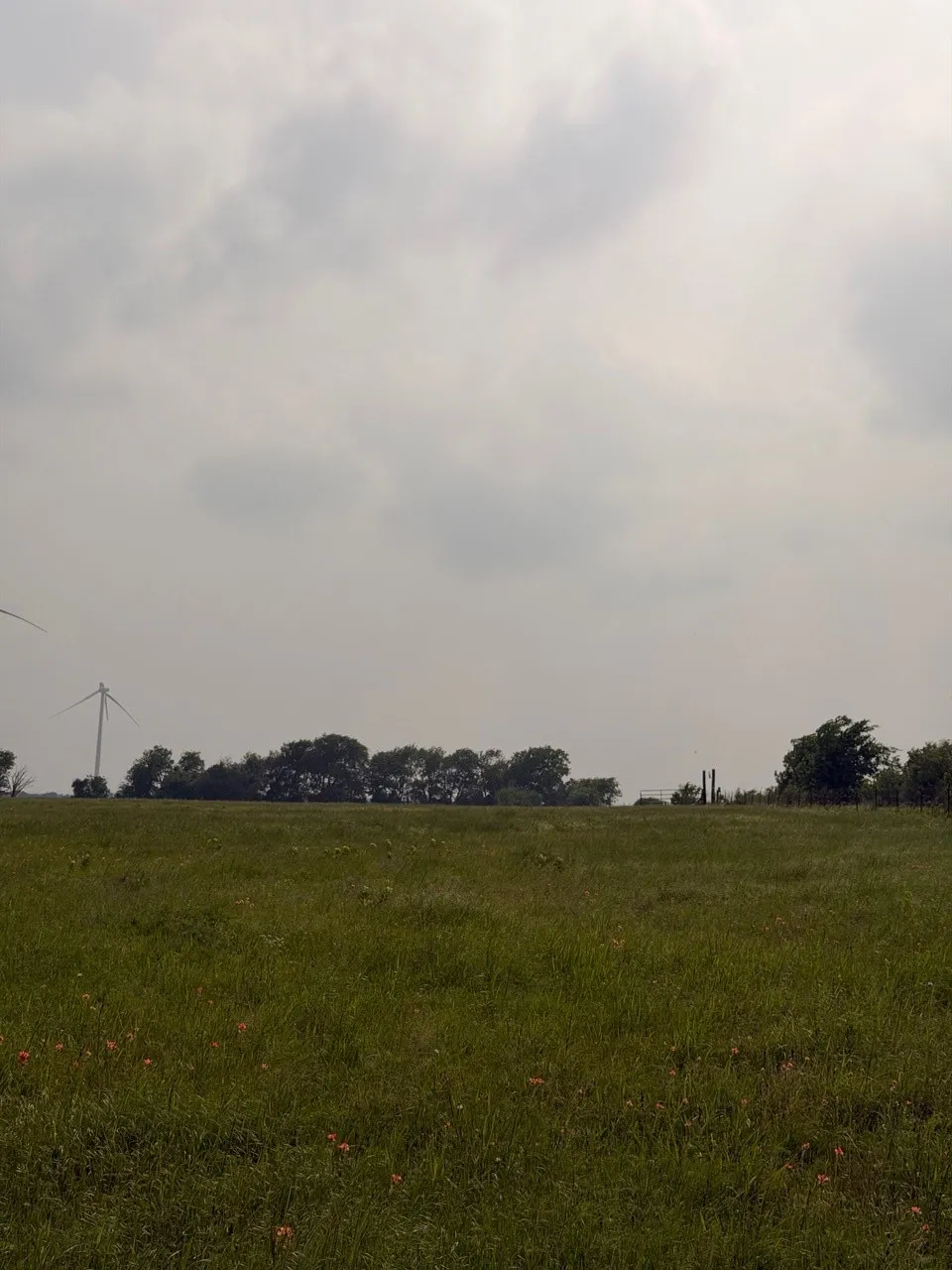 345 CR 3346 Hubbard, TX 76648