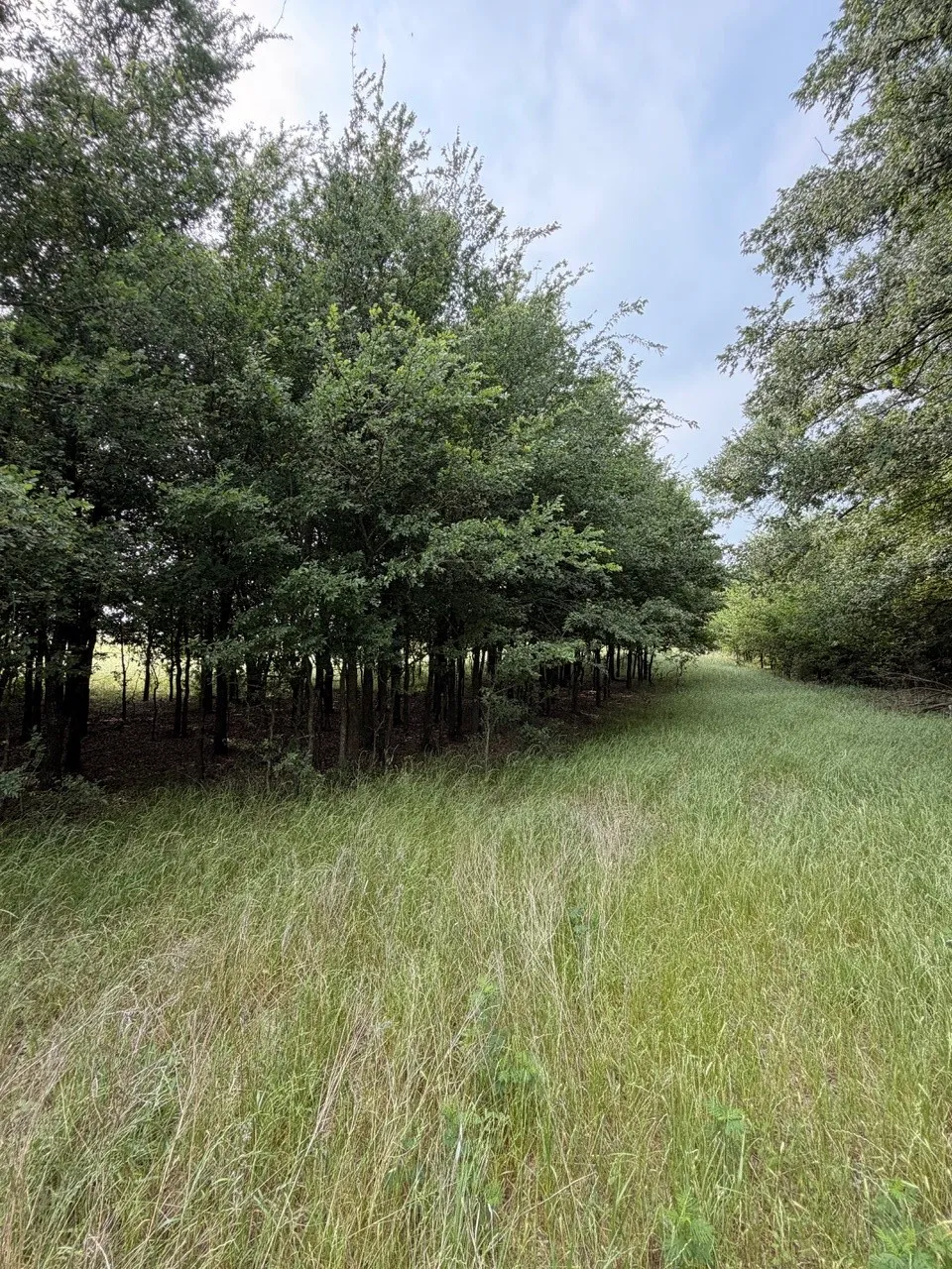 345 CR 3346 Hubbard, TX 76648