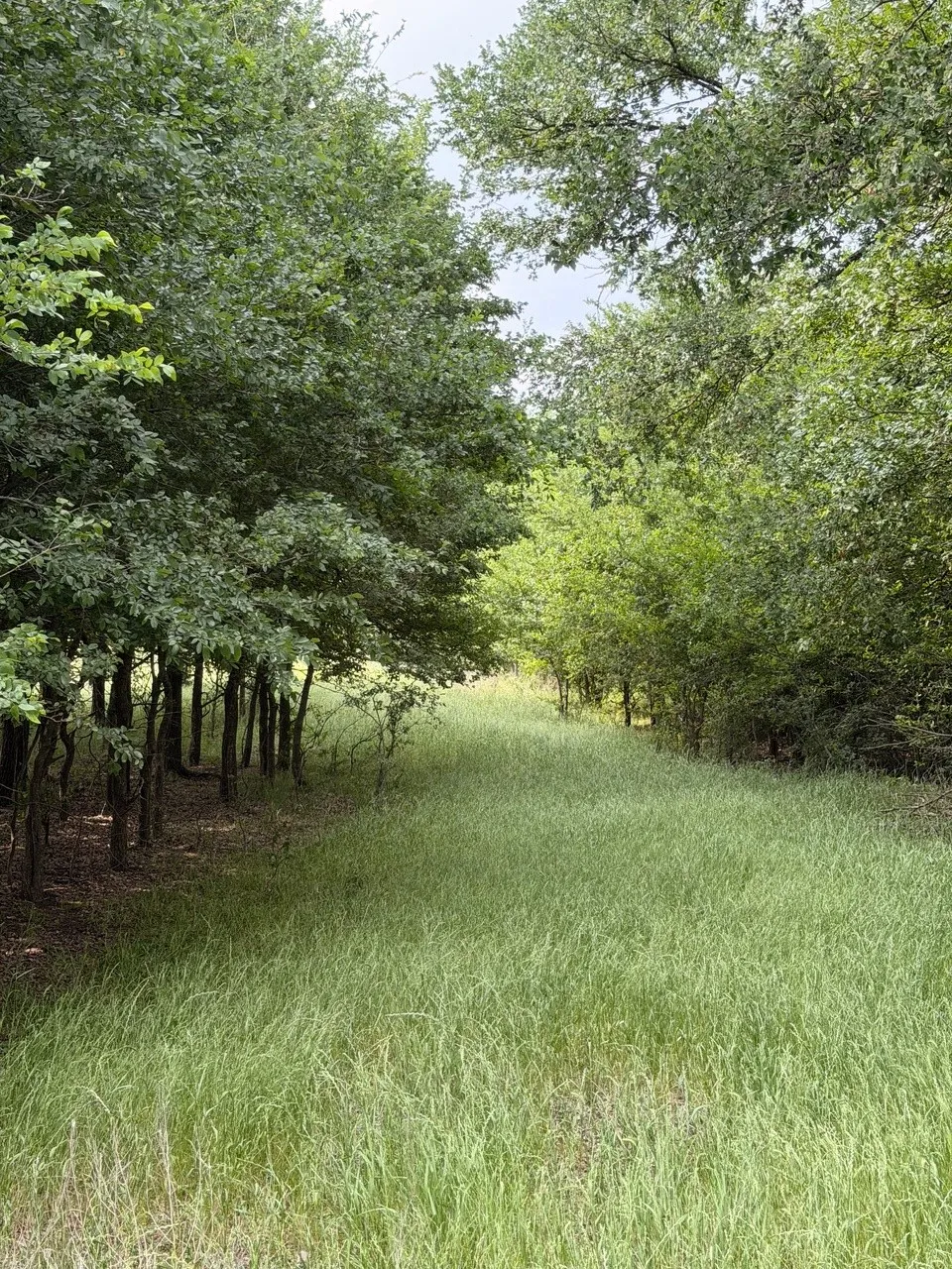 345 CR 3346 Hubbard, TX 76648
