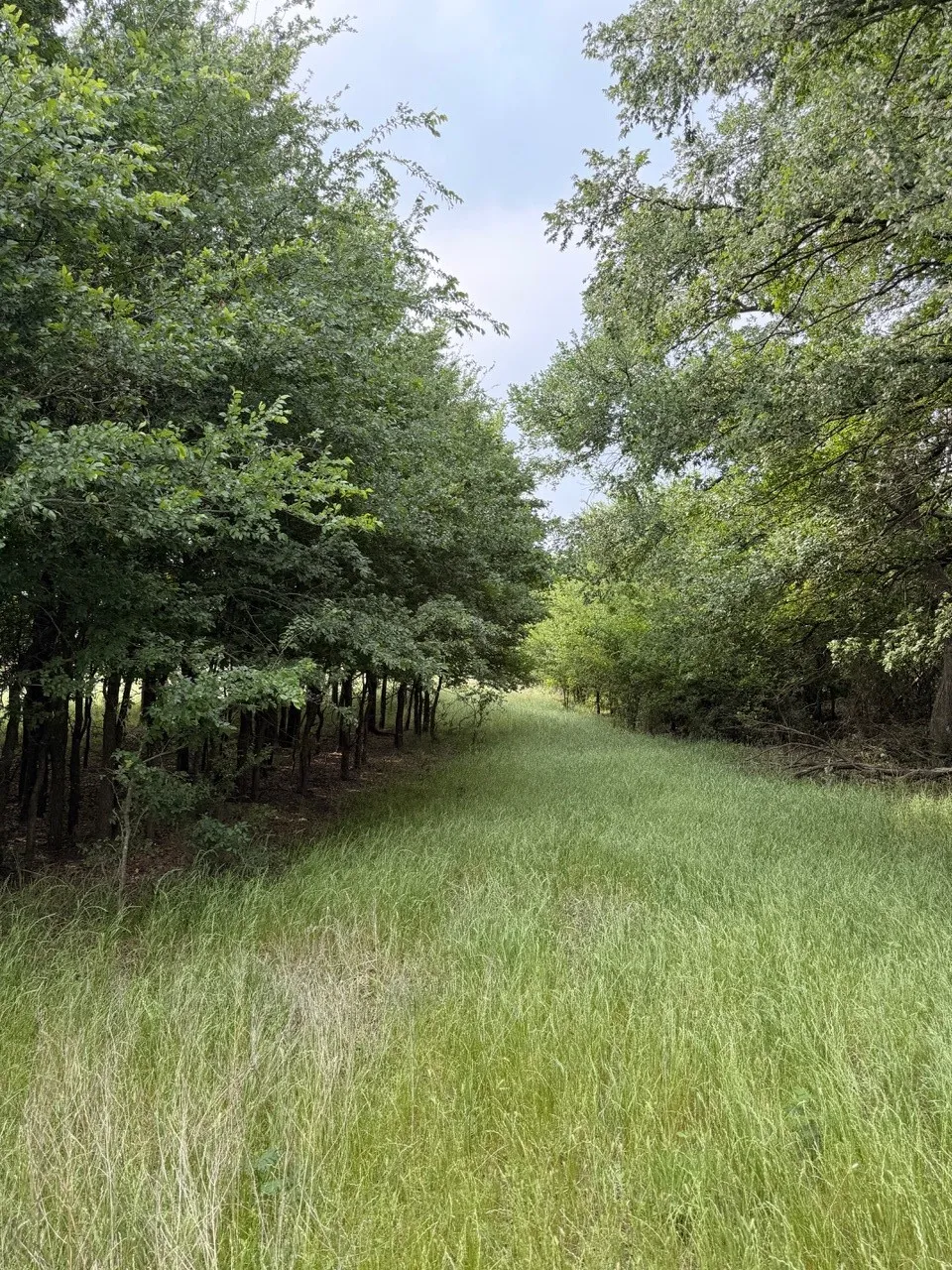 345 CR 3346 Hubbard, TX 76648