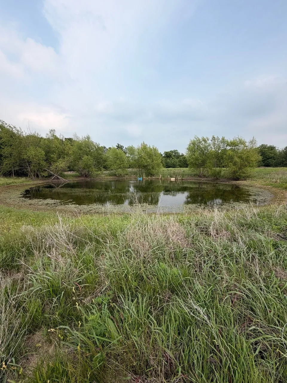 345 CR 3346 Hubbard, TX 76648