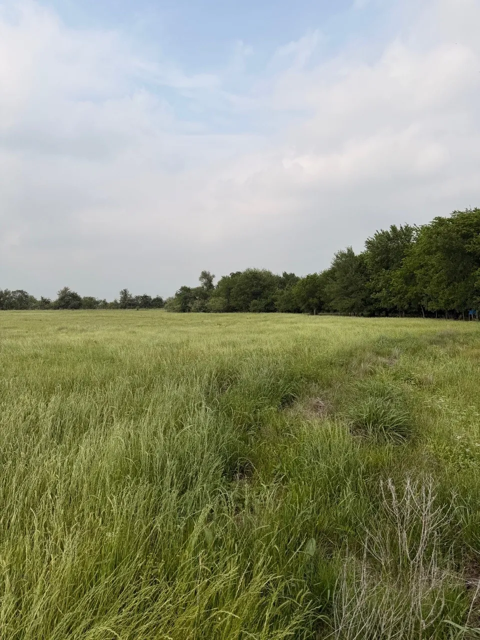 345 CR 3346 Hubbard, TX 76648