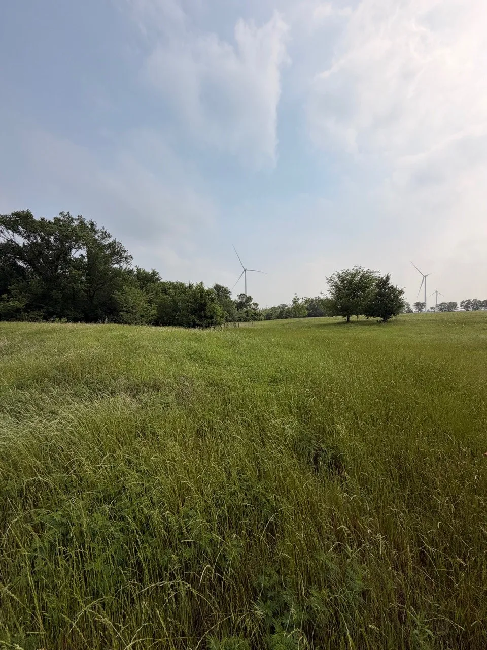 345 CR 3346 Hubbard, TX 76648