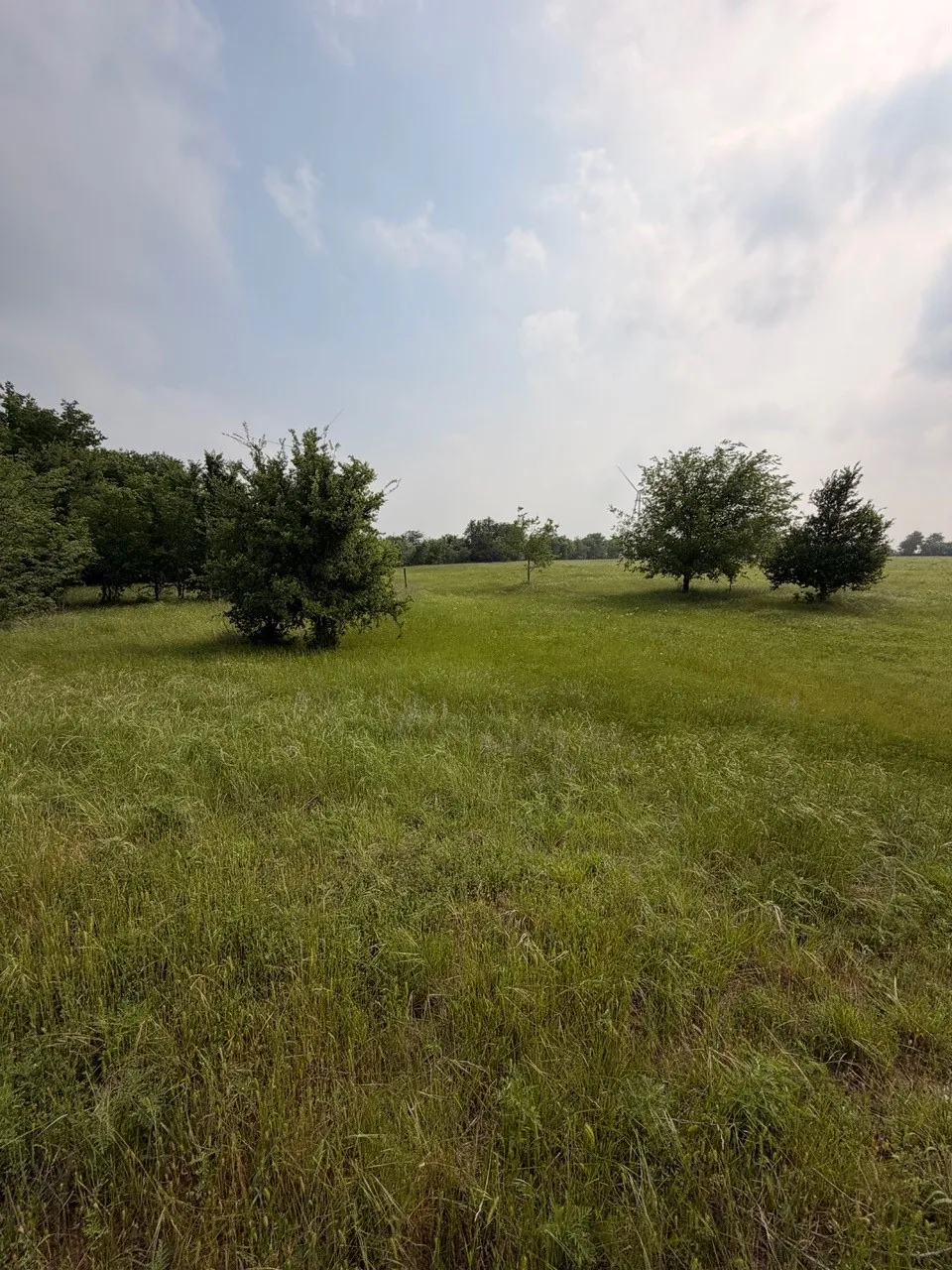 345 CR 3346 Hubbard, TX 76648