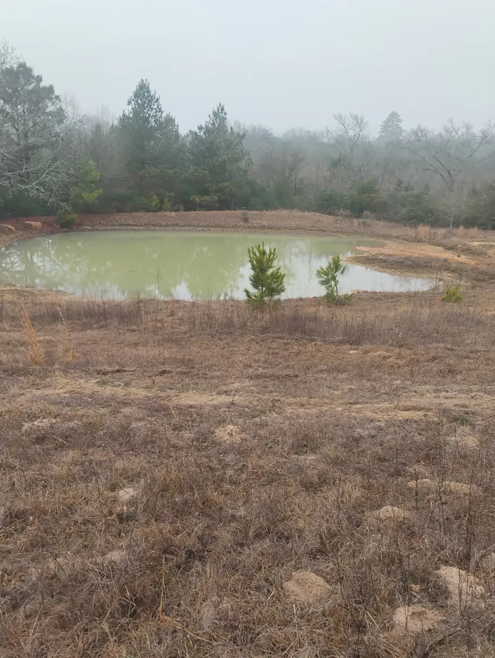 County road 204 Centerville, TX 75833