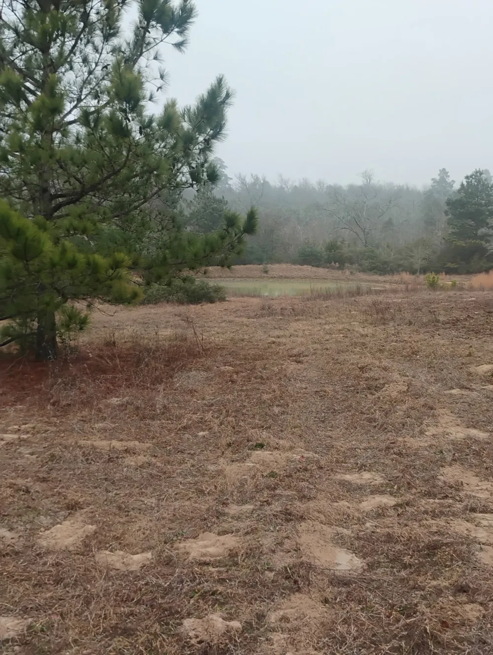 County road 204 Centerville, TX 75833