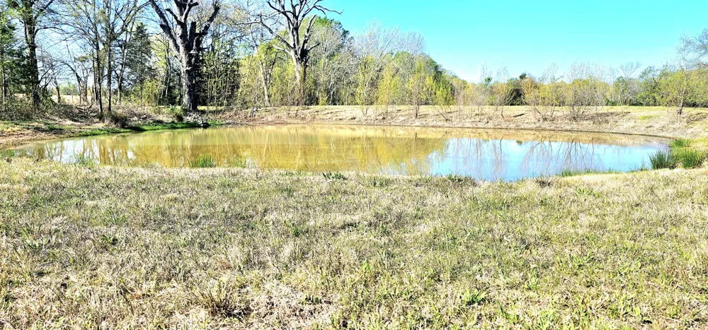301 county road 44000 Blossom, TX 75416