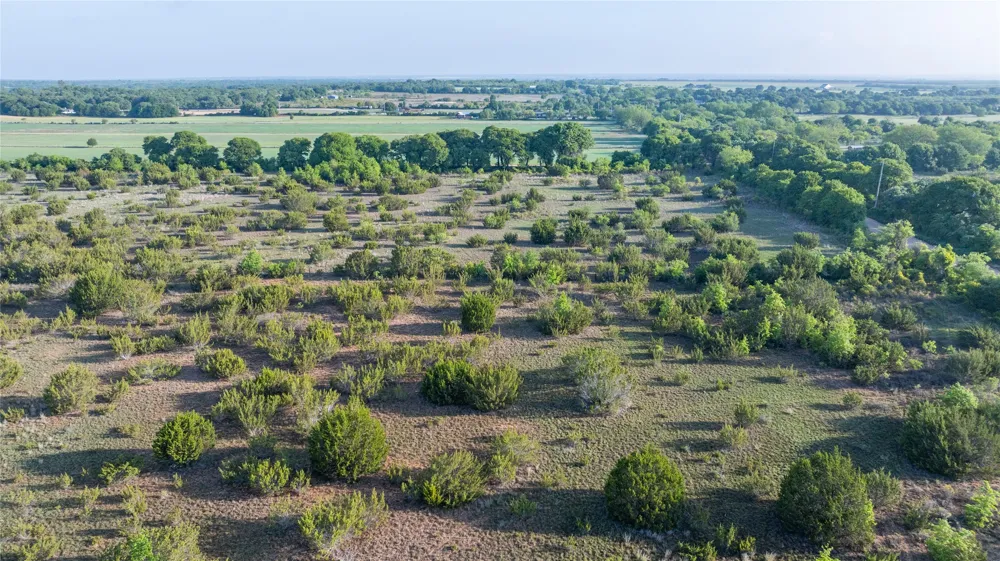 CR 241 Clyde, TX 79510