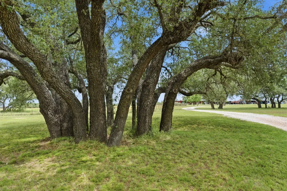 1360 W US Hwy 84 Highway Mullin, TX 76864