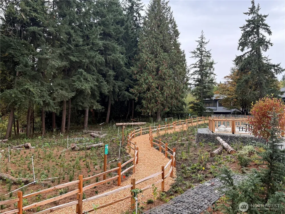 1151 129th Court NE Bellevue, WA 98005