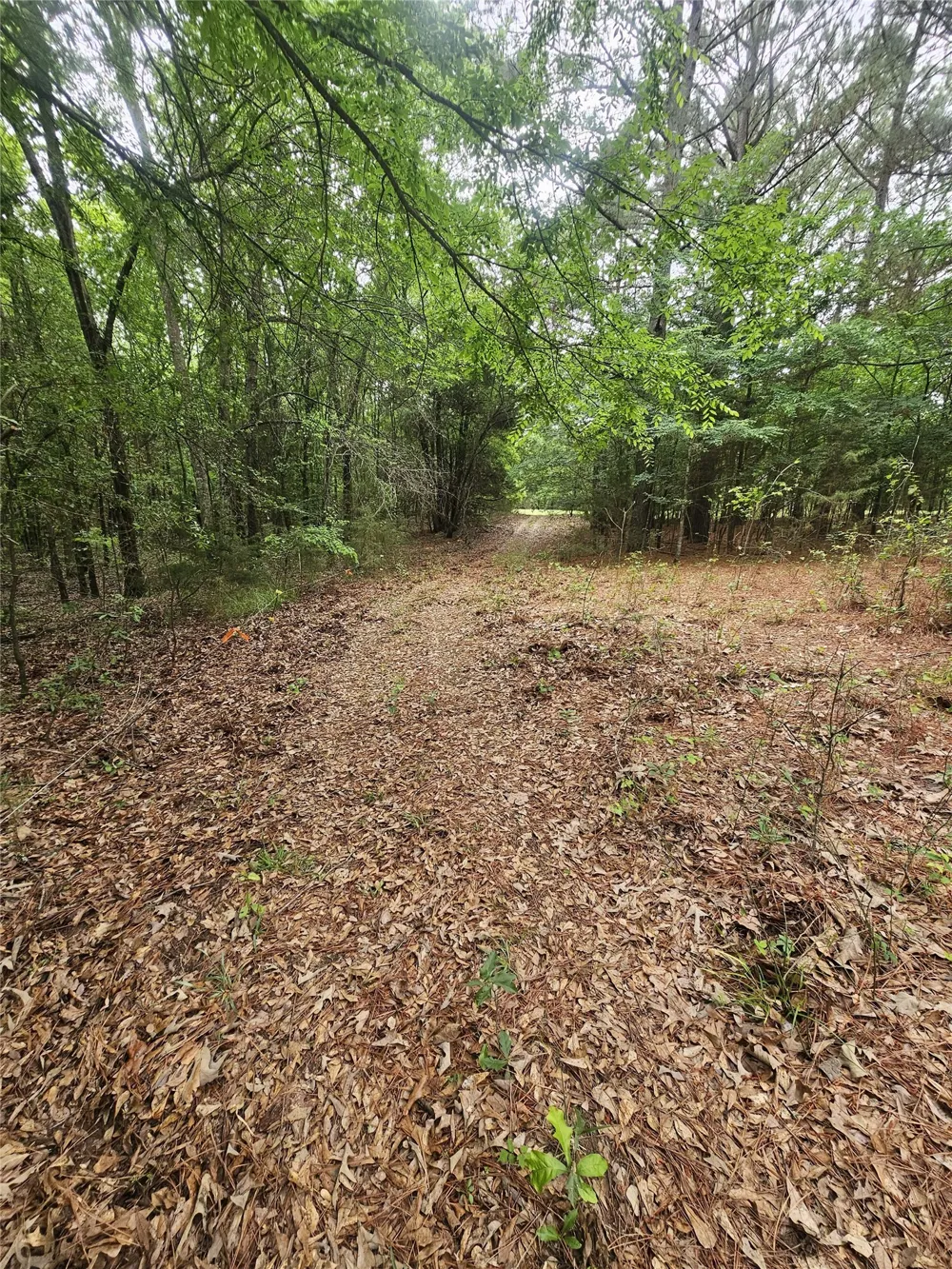 1350 County Road 45400 Paris, TX 75462