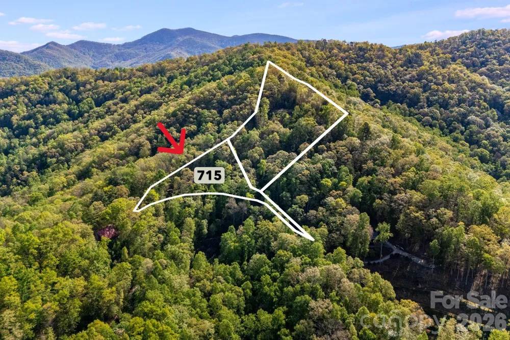 785 Laurel Spring Drive Bryson City, NC 28713